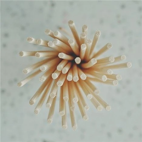 کلاسیک Reed Diffuser Stick
