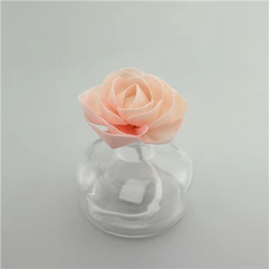 گل سولا رنگی