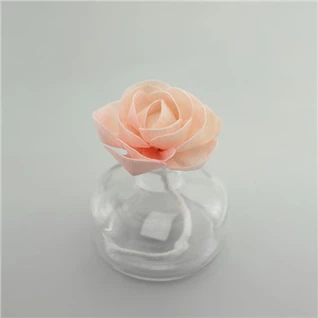 گل سولا رنگی